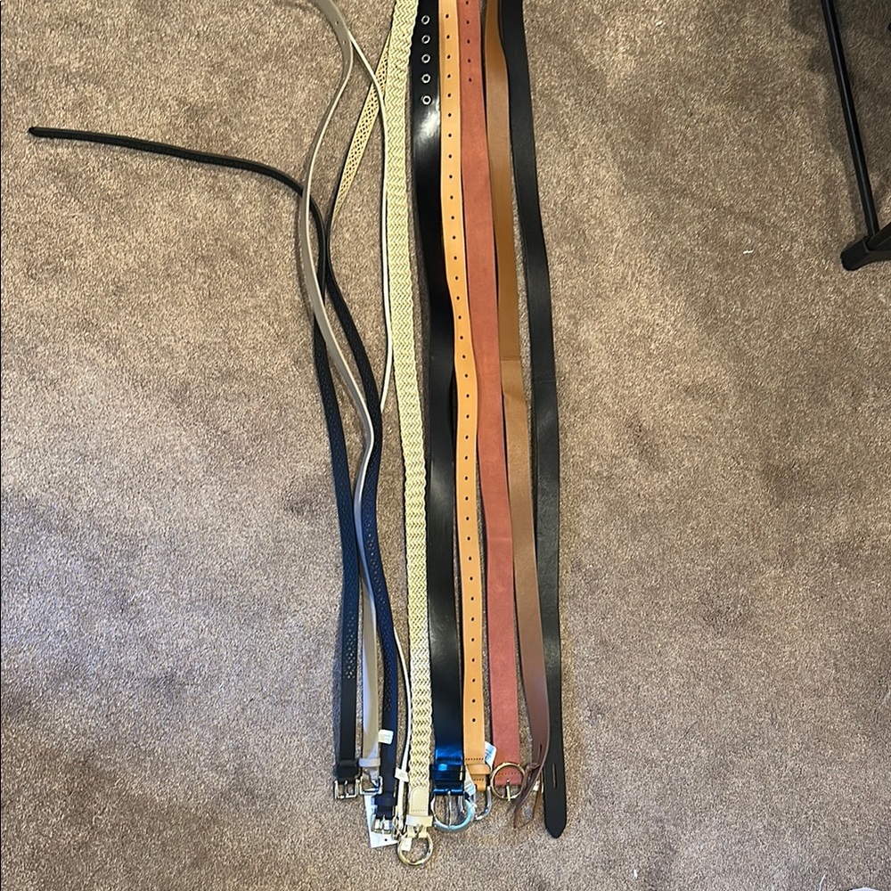 Assorted size large Belts Collection